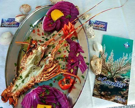 Lia * Skála Marión