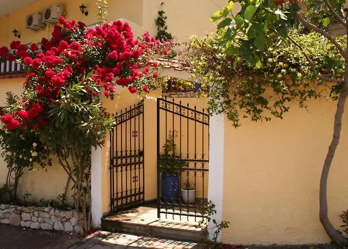 Studio Lia Skála Marión